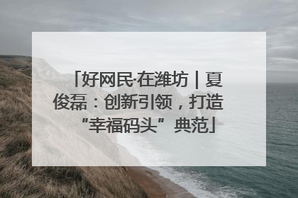 好网民·在潍坊｜夏俊磊：创新引领，打造“幸福码头”典范